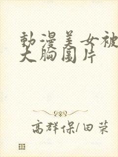 动漫美女被狂揉大胸图片