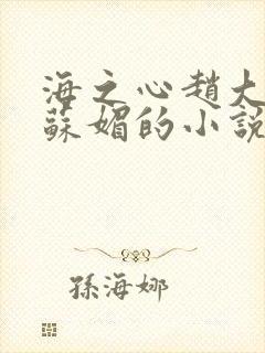 海之心赵大宝和苏媚的小说