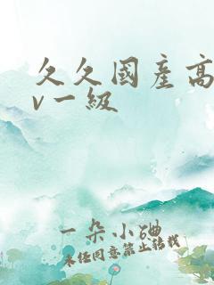 久久国产高清av一级