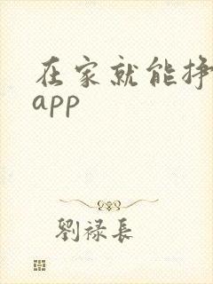 在家就能挣钱的app