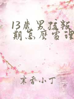 13岁男孩叛逆期怎么处理