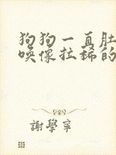 狗狗一直肚子叫唤像拉稀的声音