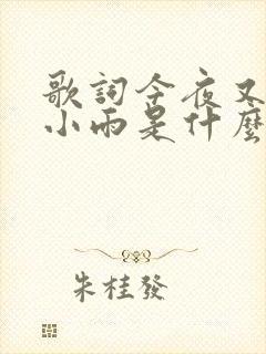 歌词今夜又下着小雨是什么歌