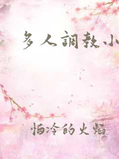 多人调教小说h