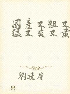 国产又粗又深又猛又爽又黄视频