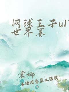 网球王子u17世界赛