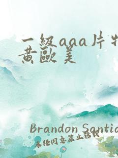 一级aaa片特黄欧美