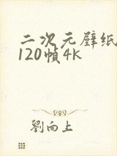 二次元壁纸动态120帧4k