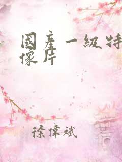 国产一级特黄录像片