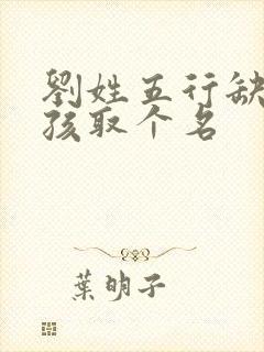 刘姓五行缺金男孩取个名