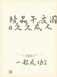 精品午夜国产va久久成人