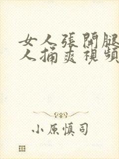 女人张开腿让男人捅爽视频