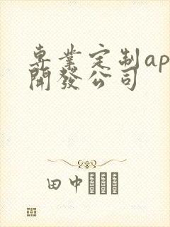 专业定制app开发公司