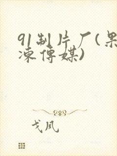 91制片厂(果冻传媒)