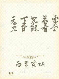 天下兄弟电视剧免费观看全集