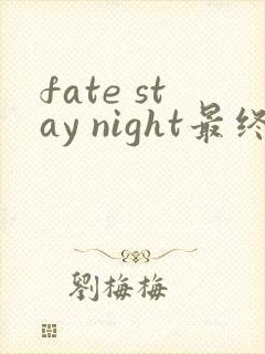 fate stay night最终中文版