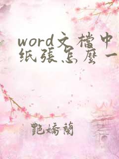 word文档中纸张怎么一些横向一些纵向