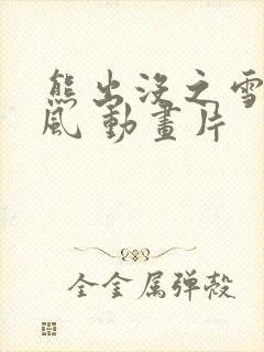 熊出没之雪岭熊风 动画片