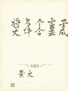 将多个电子表格文件合并成一个