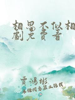 相思不似相逢短剧免费看