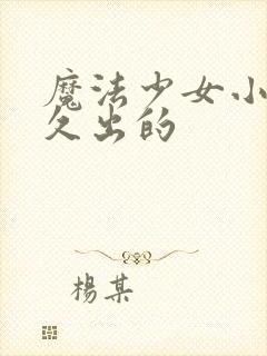 魔法少女小圆多久出的