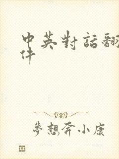 中英对话翻译软件