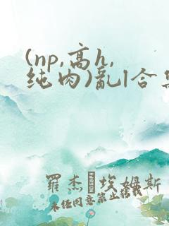 (np,高h,纯肉)乱l合集