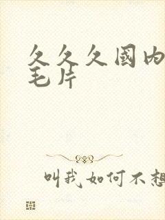 久久久国内精品毛片