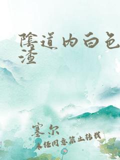 阴道内白色豆腐渣