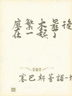 廖繁木最后和谁在一起了