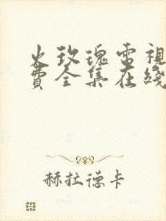 火玫瑰电视剧免费全集在线观看高清