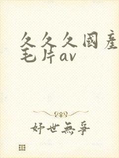 久久久国产精品毛片av