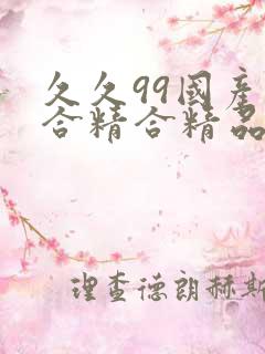 久久99国产综合精合精品