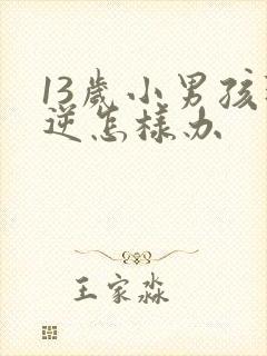 13岁小男孩叛逆怎样办