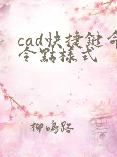 cad快捷键命令点样式