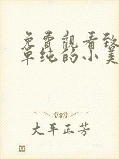 免费观看致我们单纯的小美好电视剧