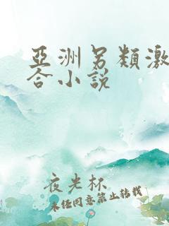 亚洲另类激情综合小说