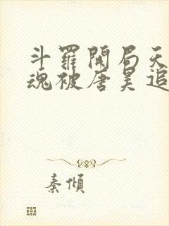 斗罗开局天使武魂被唐昊追杀