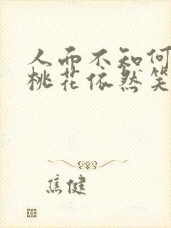 人面不知何处去桃花依然笑春风