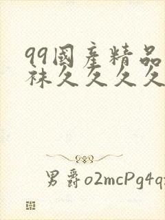 99国产精品丝袜久久久久久软件