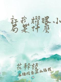 许我耀眼小说结局是什么