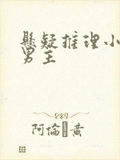 悬疑推理小说双男主