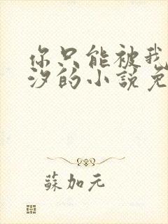 你只能被我溪夕汐的小说免费阅读