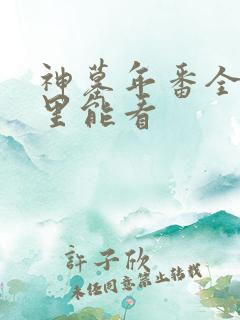 神墓年番全集哪里能看