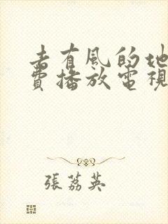 去有风的地方免费播放电视剧