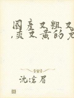 国产又粗又猛又,爽又黄的免费视频