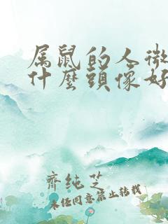 属鼠的人微信用什么头像好