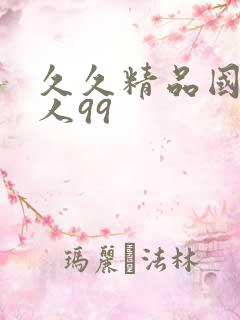 久久精品国产成人99