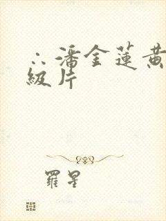 ∴潘金莲黄色一级片