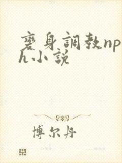 变身调教np高h小说